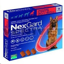 nexgard-spectra-xl30-60kg3-pack